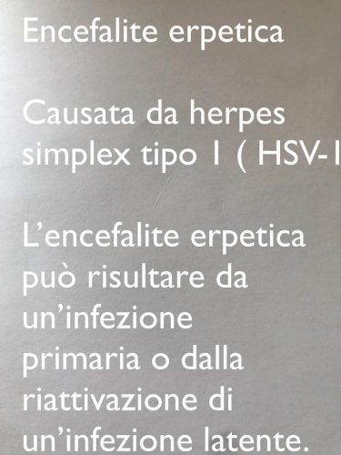 Esistono due tipi di virus herpes simplex, la forma che dà origine alle tipiche vescicole sulle labbra. Il tipo 1, di norma responsabile di queste lesioni, ed il tipo 2, che di solito è associato a manifestazioni genitali, tuttavia in alcuni casi può provocare anche lesioni alle labbra