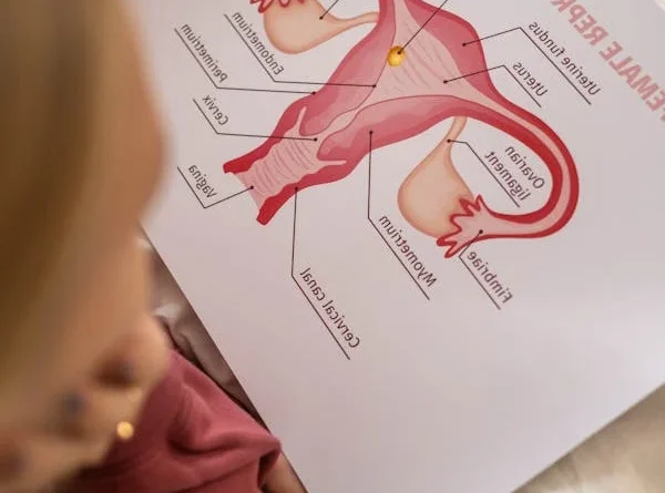 Le tube di Falloppio, conosciute anche come salpingi o tube uterine, sono organi cavi essenziali dell'apparato genitale femminile. Di forma tubulare, misurano circa 7-8 cm di lunghezza e hanno un diametro di 1-2 mm.